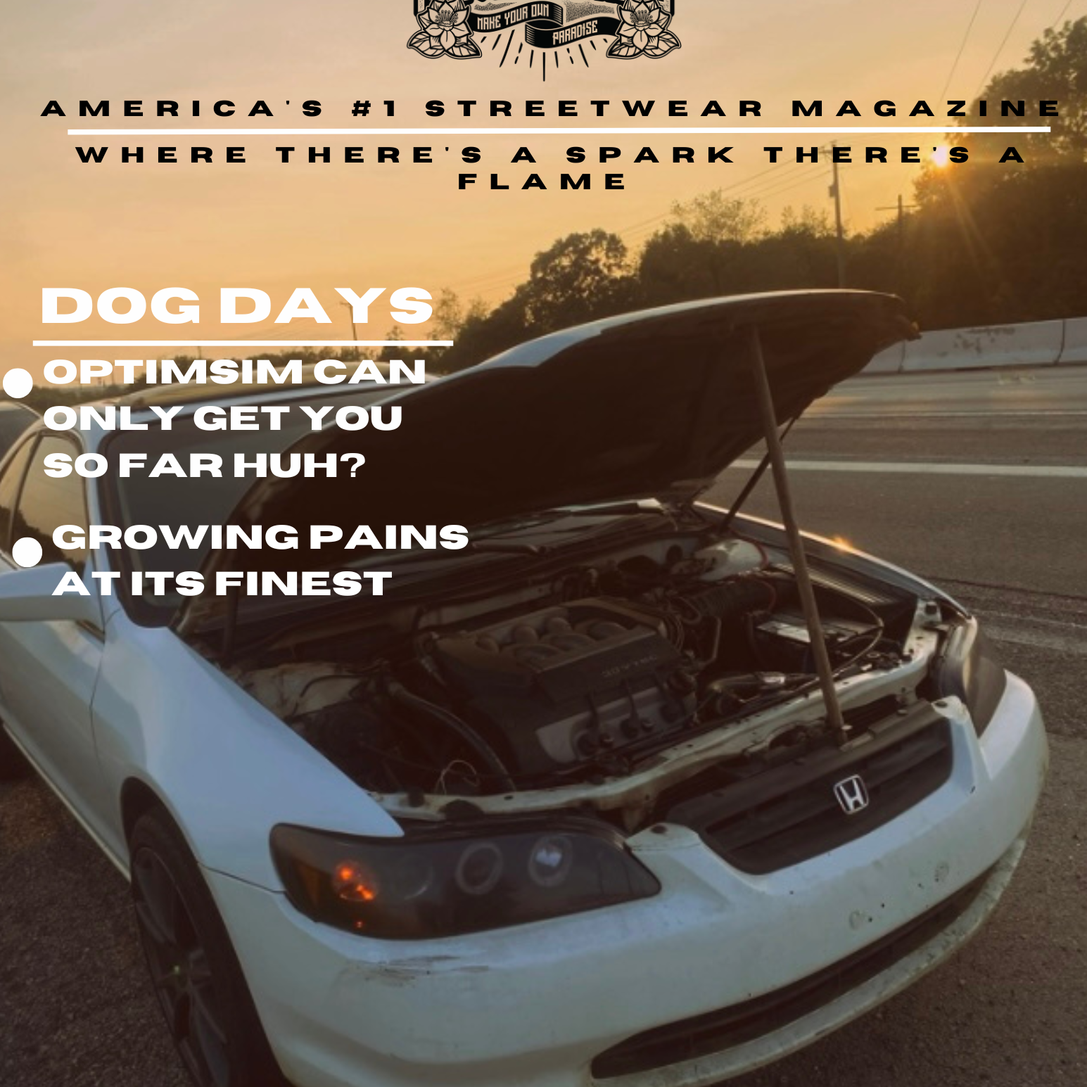 ISSUE #6 DOG DAYS