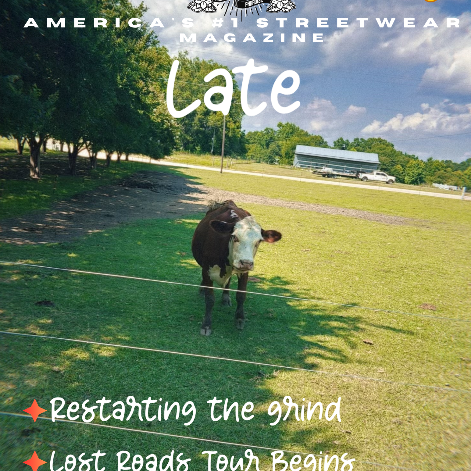 ISSUE #6 LATE